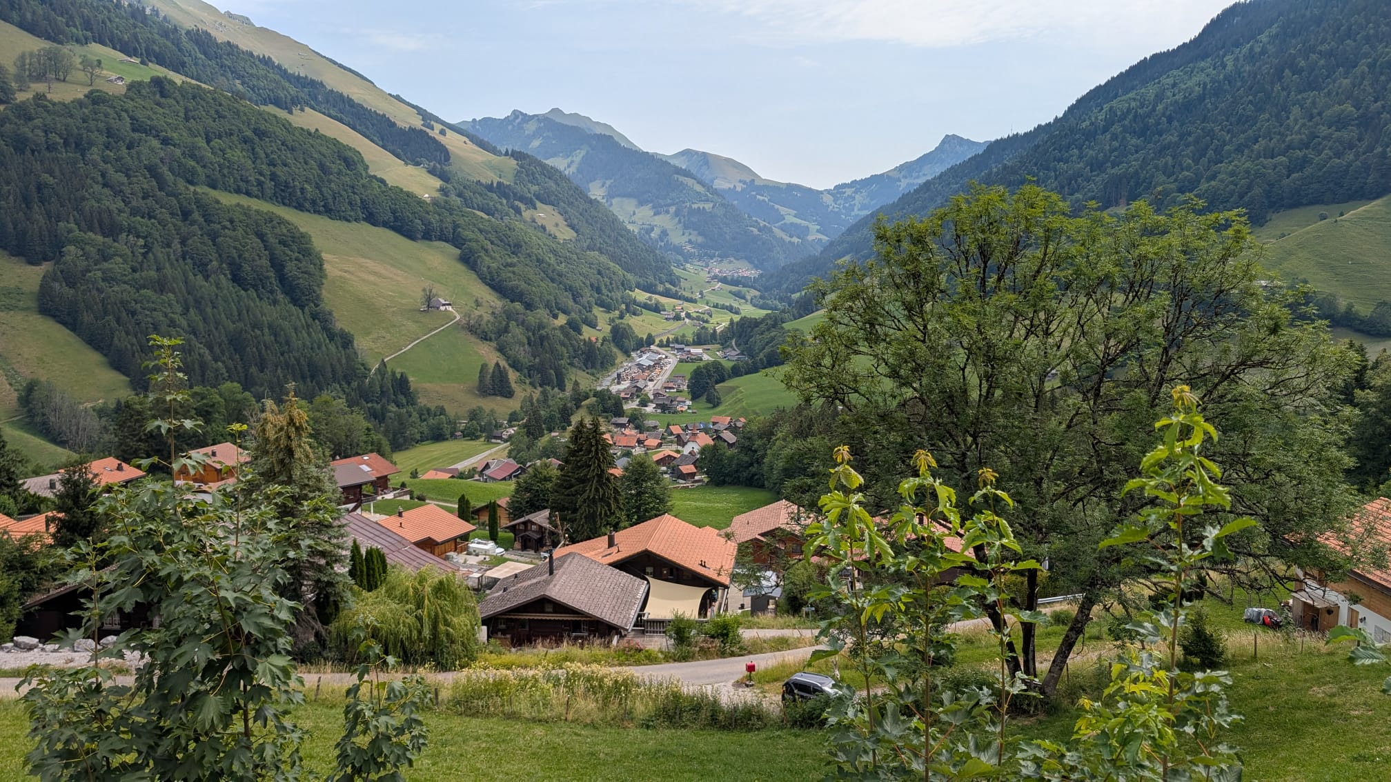 Jaunhüsli